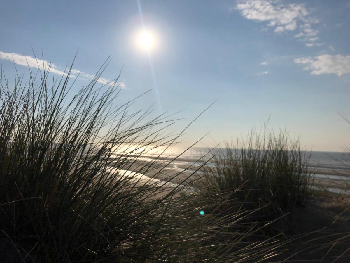 Castel Aan Zee Apartment *